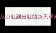 泰迪孕期肚子变化全记录从空肚到鼓肚的28天观察日记科学养护指南附上