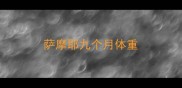 萨摩耶九个月体重