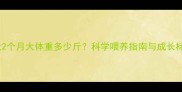 贵宾犬2个月大体重多少斤科学喂养指南与成长标准全
