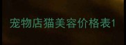 宠物店猫美容价格表