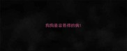狗狗最容易得的病