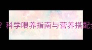 哈士奇能不能吃粥科学喂养指南与营养搭配全附禁忌清单