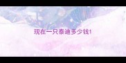 现在一只泰迪多少钱