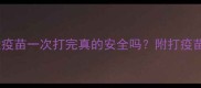 狗狗必看狂犬疫苗一次打完真的安全吗附打疫苗全流程避坑指南