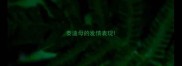 泰迪母的发情表现