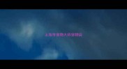 上海市宠物大师宠物店