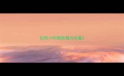 边牧小时候能看出毛量