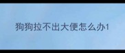 狗狗拉不出大便怎么办