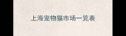 上海宠物猫市场一览表