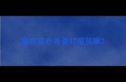 猫在室外养要打疫苗嘛