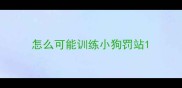 怎么可能训练小狗罚站