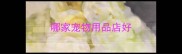 哪家宠物用品店好
