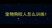 宠物狗咬人怎么训练