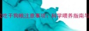1个月大幼犬吃干狗粮注意事项科学喂养指南与常见误区全