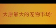 太原最大的宠物市场