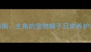 异宠饲养指南主角的宠物蝎子日常养护与品种选择
