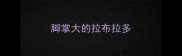 脚掌大的拉布拉多