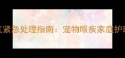 哈士奇眼白发红紧急处理指南宠物眼疾家庭护理与预防全攻略