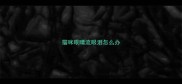 猫咪眼睛流眼泪怎么办
