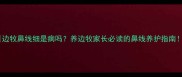 边牧鼻线细是病吗养边牧家长必读的鼻线养护指南