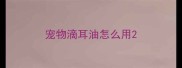 宠物滴耳油怎么用