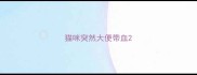 猫咪突然大便带血