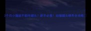 2个月小猫能不能吃罐头新手必看幼猫罐头喂养全攻略