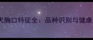 拉布拉多犬胸口特征全品种识别与健康监测指南
