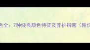 泰迪犬毛色全7种经典颜色特征及养护指南附价格对比