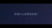 养殖什么宠物有前景