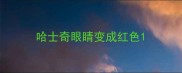 哈士奇眼睛变成红色