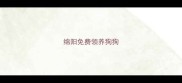 绵阳免费领养狗狗
