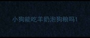 小狗能吃羊奶泡狗粮吗