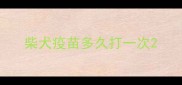 柴犬疫苗多久打一次
