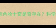 哈士奇毛色全棕色哈士奇是否存在科学解答与饲养指南