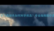 边境牧羊犬飞盘颜色如何科学挑选专业指南助你选对装备
