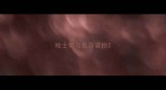 哈士奇马美容装扮