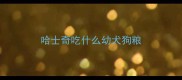 哈士奇吃什么幼犬狗粮