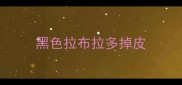 黑色拉布拉多掉皮