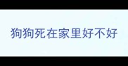 狗狗死在家里好不好
