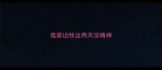 我家边牧这两天没精神
