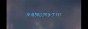 泰迪狗疫苗多少钱