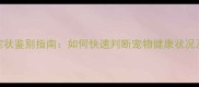 猫咪异常症状鉴别指南如何快速判断宠物健康状况及应对措施