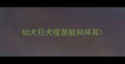 幼犬狂犬疫苗能和拜耳