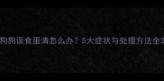 狗狗误食蛋清怎么办5大症状与处理方法全