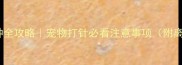 狂犬疫苗接种全攻略宠物打针必看注意事项附离开时间表