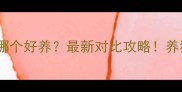 边牧和柯基哪个好养最新对比攻略养狗人必看