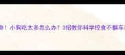 救命小狗吃太多怎么办3招教你科学控食不翻车