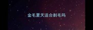 金毛夏天适合剃毛吗