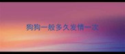 狗狗一般多久发情一次